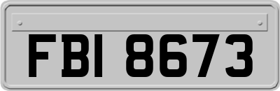 FBI8673