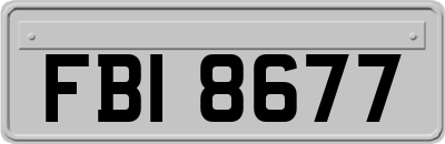 FBI8677