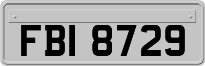 FBI8729