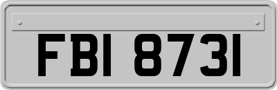 FBI8731