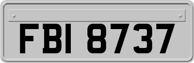 FBI8737