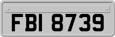 FBI8739