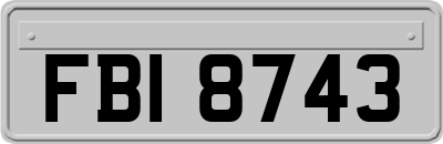 FBI8743