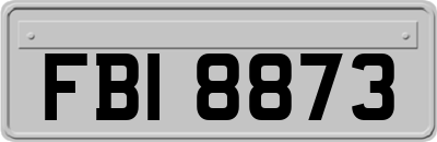 FBI8873