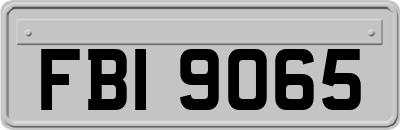 FBI9065