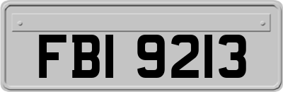 FBI9213