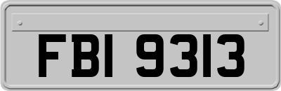 FBI9313