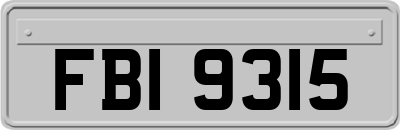 FBI9315