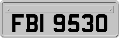 FBI9530