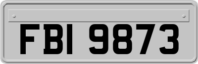 FBI9873