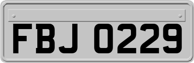 FBJ0229
