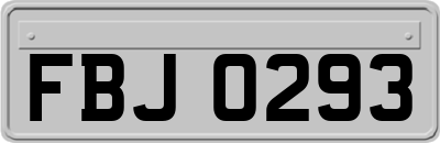 FBJ0293