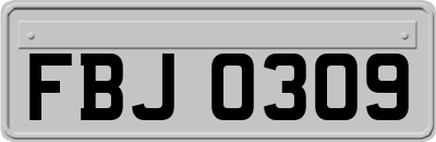 FBJ0309