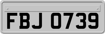 FBJ0739