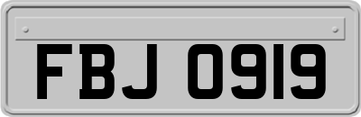 FBJ0919