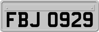 FBJ0929