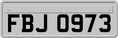FBJ0973