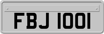 FBJ1001