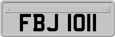 FBJ1011