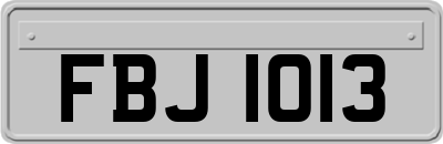FBJ1013