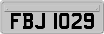 FBJ1029