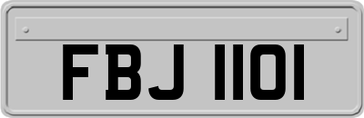 FBJ1101