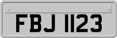 FBJ1123