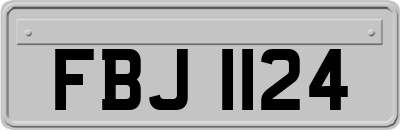 FBJ1124