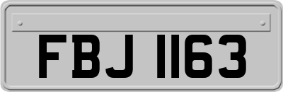 FBJ1163