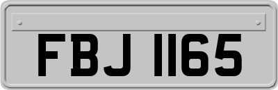 FBJ1165