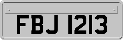 FBJ1213