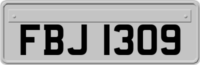 FBJ1309