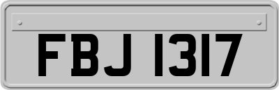 FBJ1317