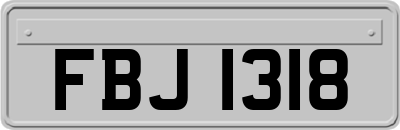 FBJ1318