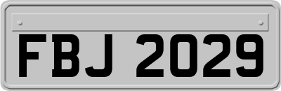FBJ2029