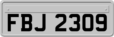 FBJ2309