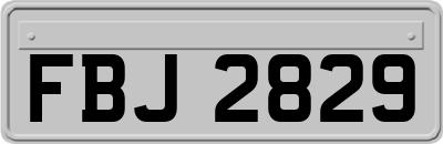 FBJ2829