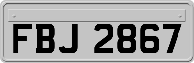 FBJ2867