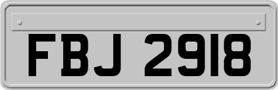 FBJ2918