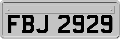 FBJ2929