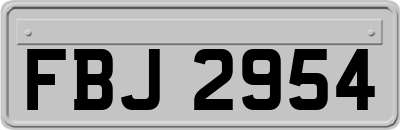 FBJ2954
