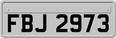 FBJ2973
