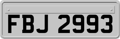 FBJ2993