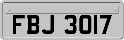 FBJ3017
