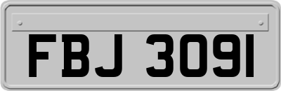 FBJ3091