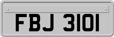 FBJ3101
