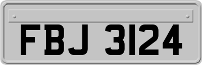 FBJ3124