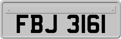 FBJ3161