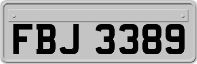 FBJ3389