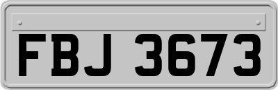 FBJ3673